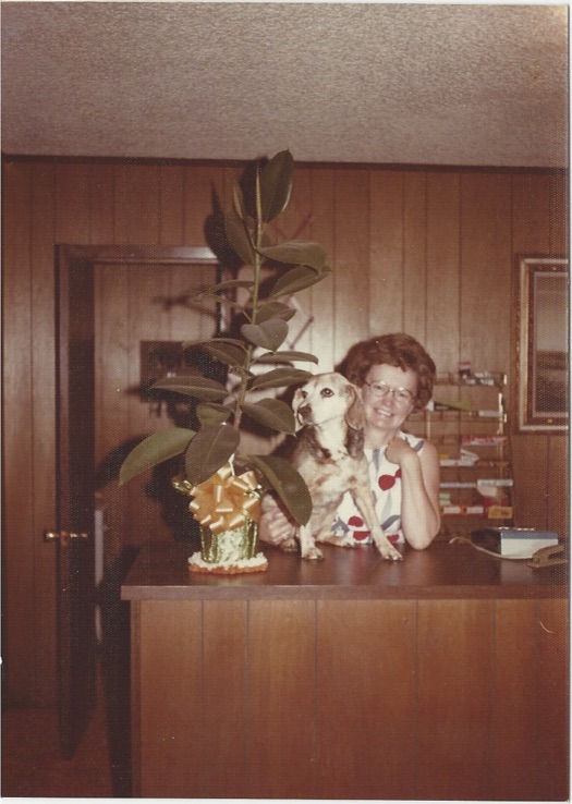 Lady with a dog and a big plant in reception of a hotel